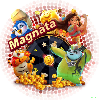 Suporte Login